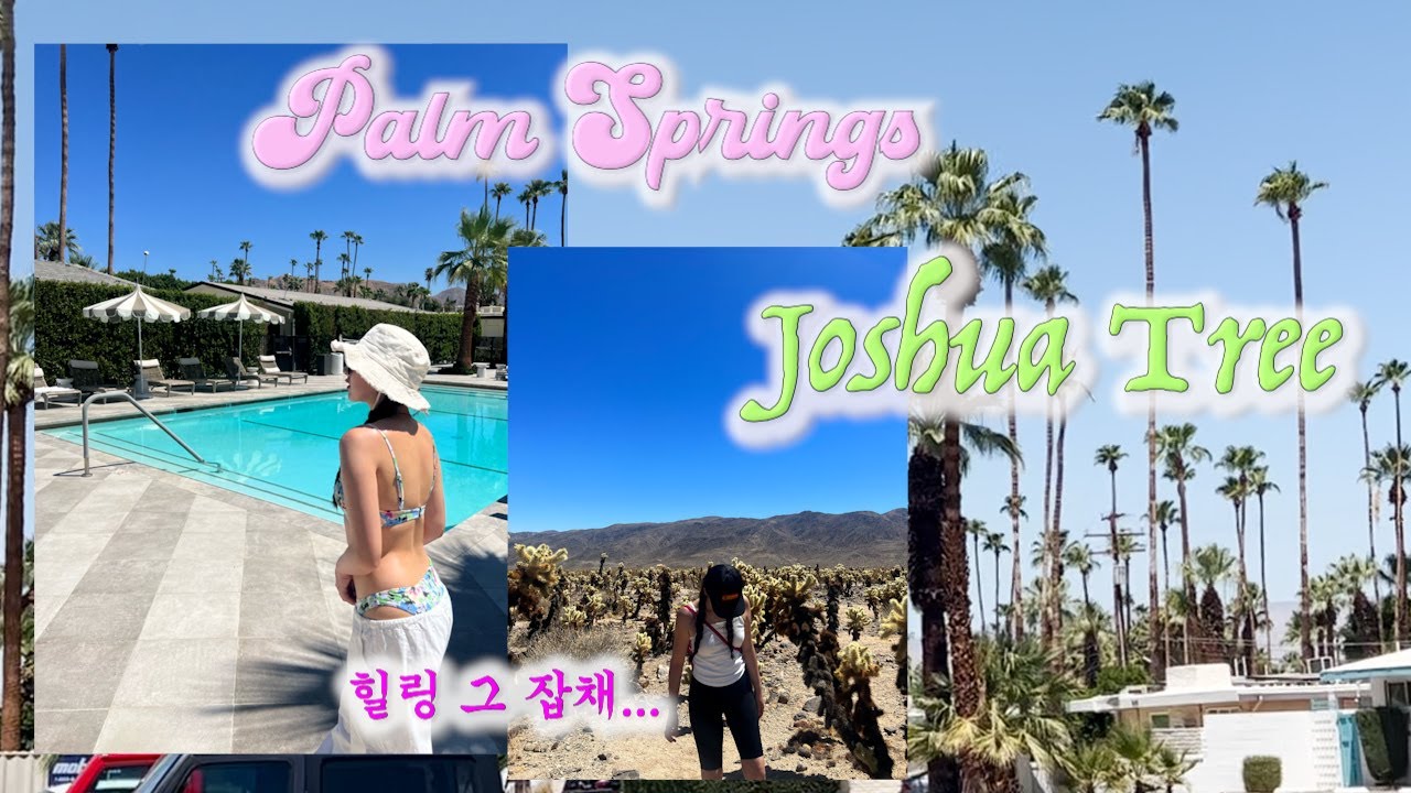 [🇺🇸vlog] 🐟미국에서 보내는 여름 휴가🐟 팜스프링스, 조슈아트리 국립공원, 미국 서부 여행, 미국 여행, 해외여행지 추천ㅣ여행 브이로그