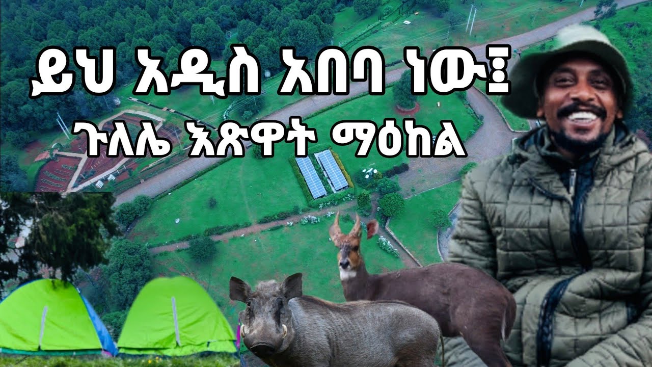 ይህ አዲስ አበባ ነው። #ጉለሌ እጽዋት ማዕከል #ጉዞ_ኢትዮጵያ #Botanical #GulleleBotanicalGardens #guzoethiopia