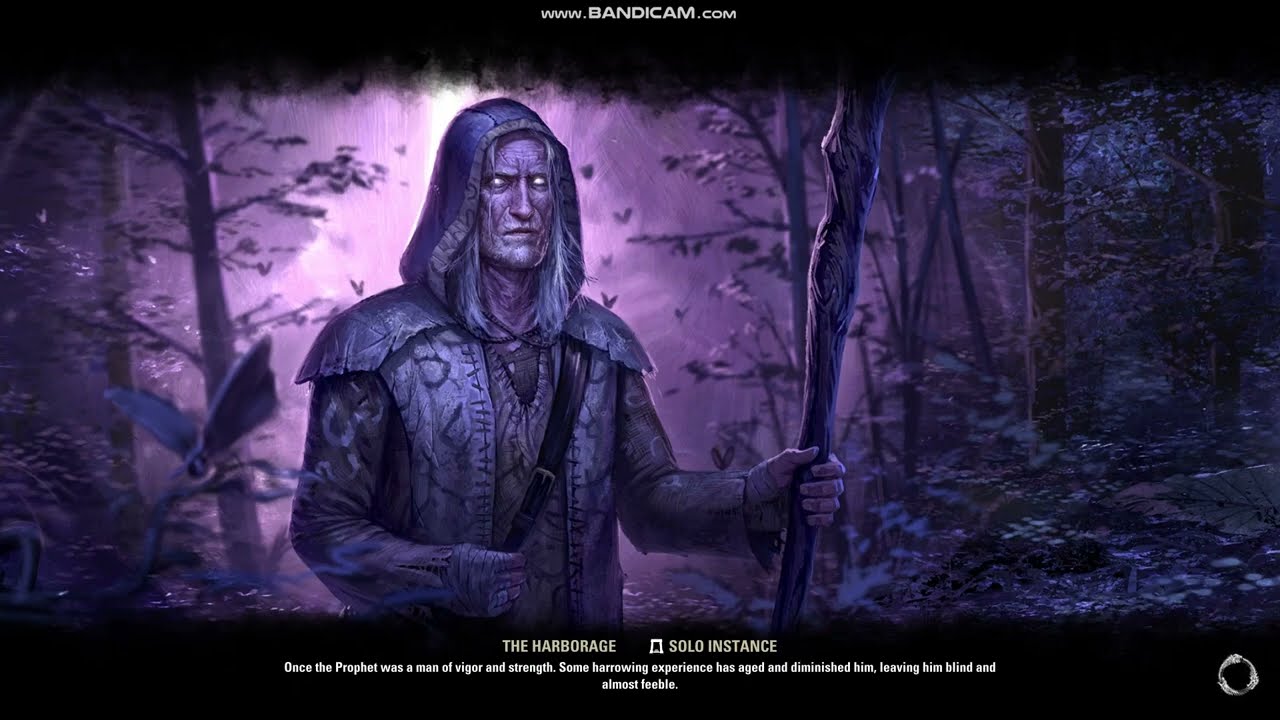Elder Scrolls Online- Harborage part 2