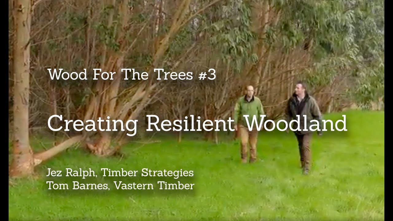 Resilient Woodland Creation: Wood For The Trees, Film #3: Feb2020