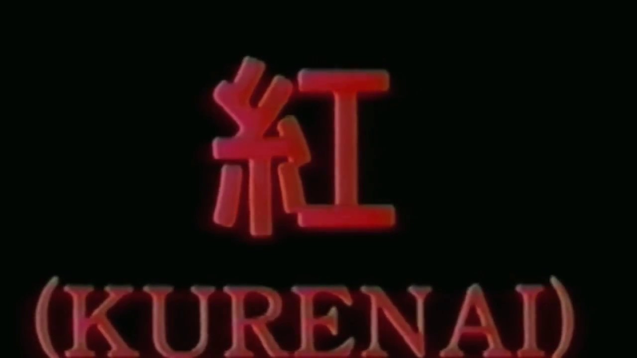 X JAPAN ～ 紅 /  KURENAI 1989 - 2016