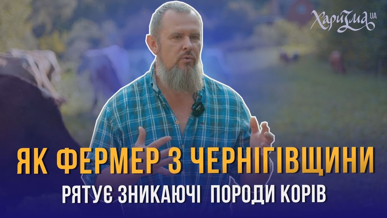 Як фермер з Чернігівщини рятує зникаючі українські породи корів? МИХАЙЛО ТРАВЕЦЬКИЙ. Велесова ферма