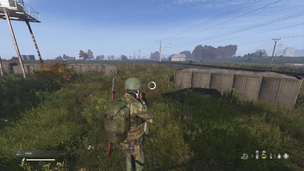 DayZ