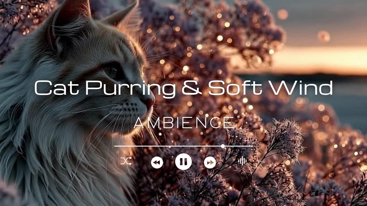 Cat Purring + Soft Wind 🐾🌿 | Sleep & Relaxation Ambience (No Music, No Talking)
