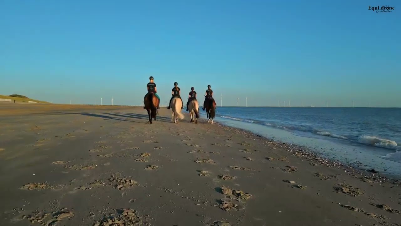 Hollandchaosgirls film (hoofdrol in je eigen film)