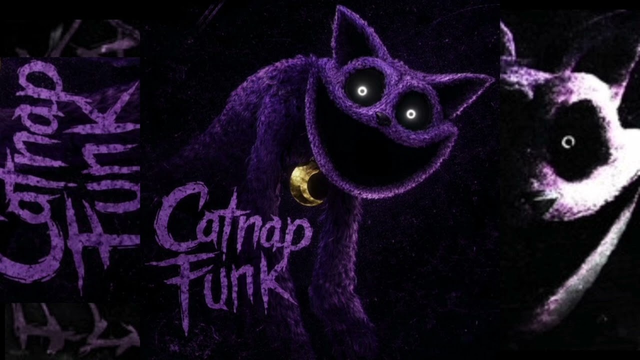 | Catnap Funk | 