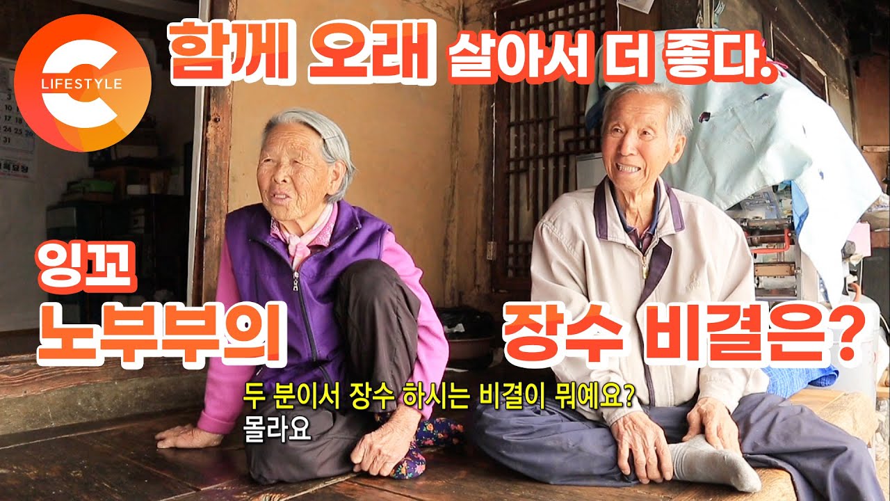 검은 머리 파뿌리 될 때까지 함께 사는 부부가 많은 '무병장수' 마을, 양악마을 장수 부부들이 말하는 '건강하게 오래 사는 비결'