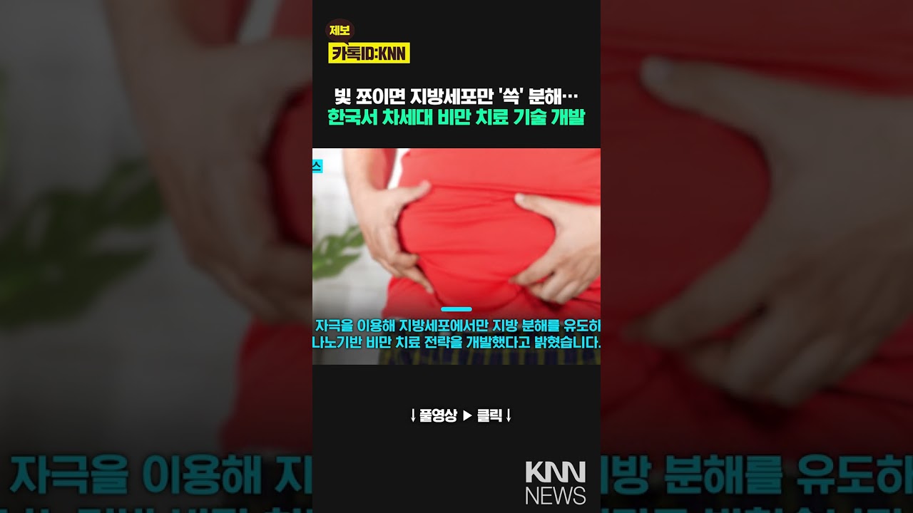 빛 비추면 지방만 '쏙' 분해 차세대 비만 치료 기술 등장 / KNN
