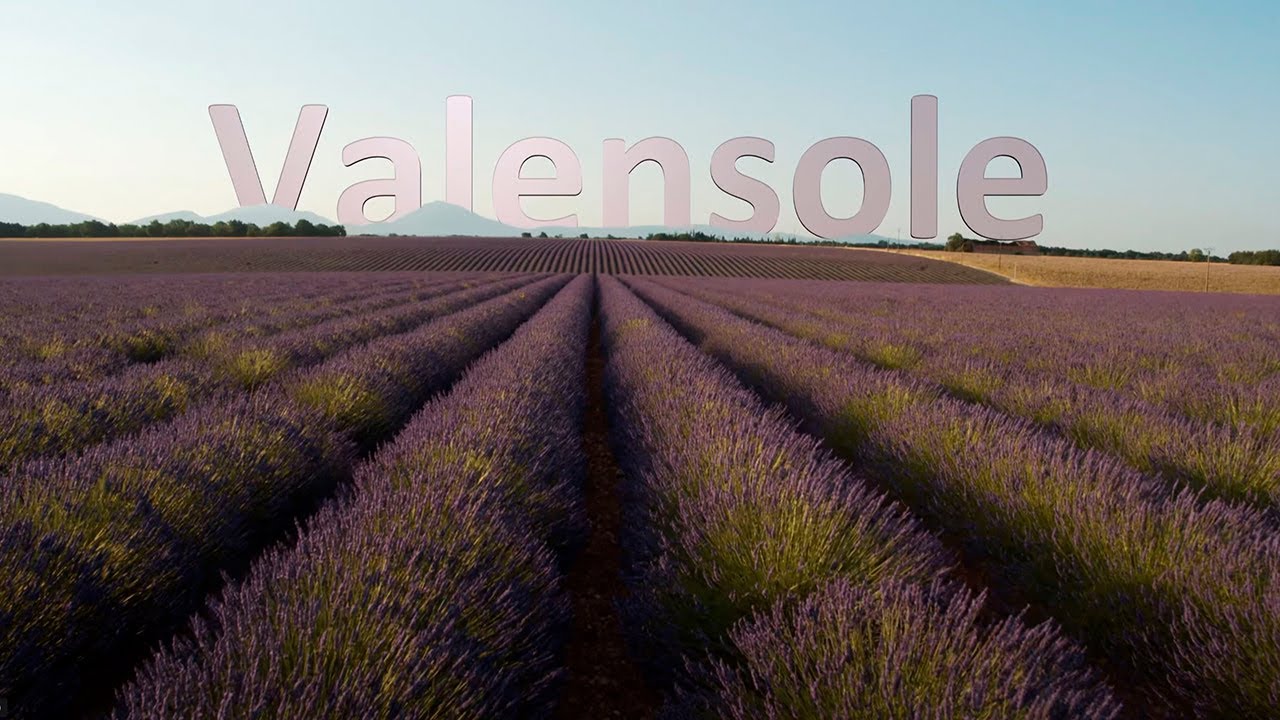 Valensole et ses champs de lavande (Provence) - The lavander fields of Valensole (French Provence)