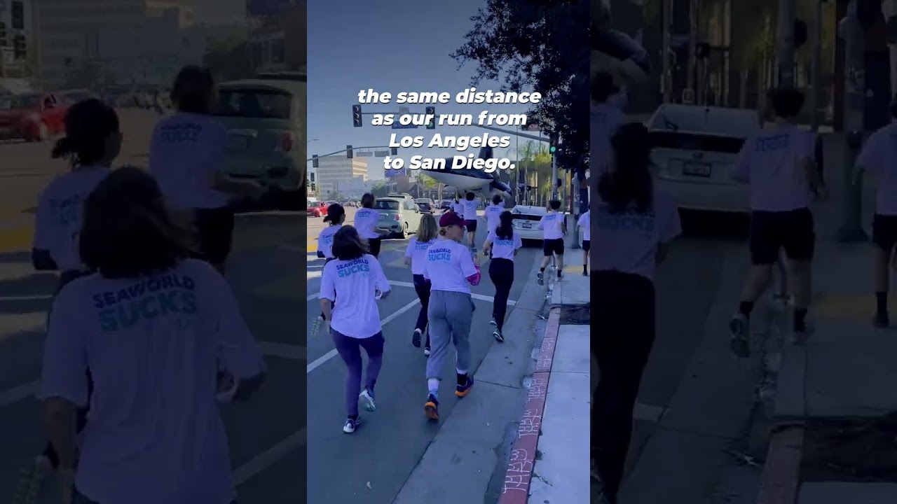 Relay Race From Los Angeles to San Diego for Corky's Freedom