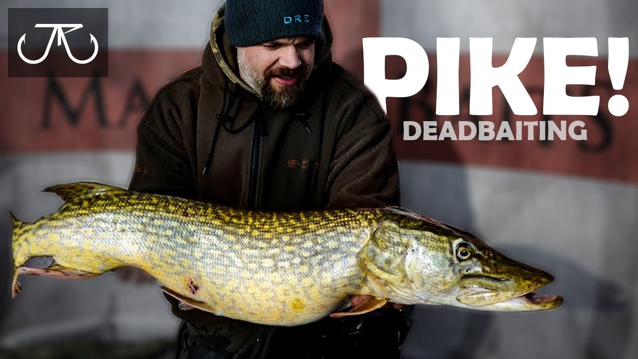 Hechtangeln mit totem Köderfisch Deadbaiting mit Jörg Rubbers