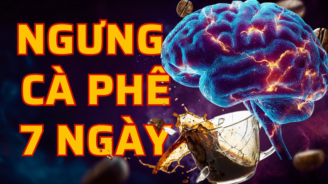 Chuyện Gì Xảy Ra Nếu Bạn Ngừng Uống Cà Phê Đột Ngột Trong 7 Ngày? | Khoa Học Não Bộ