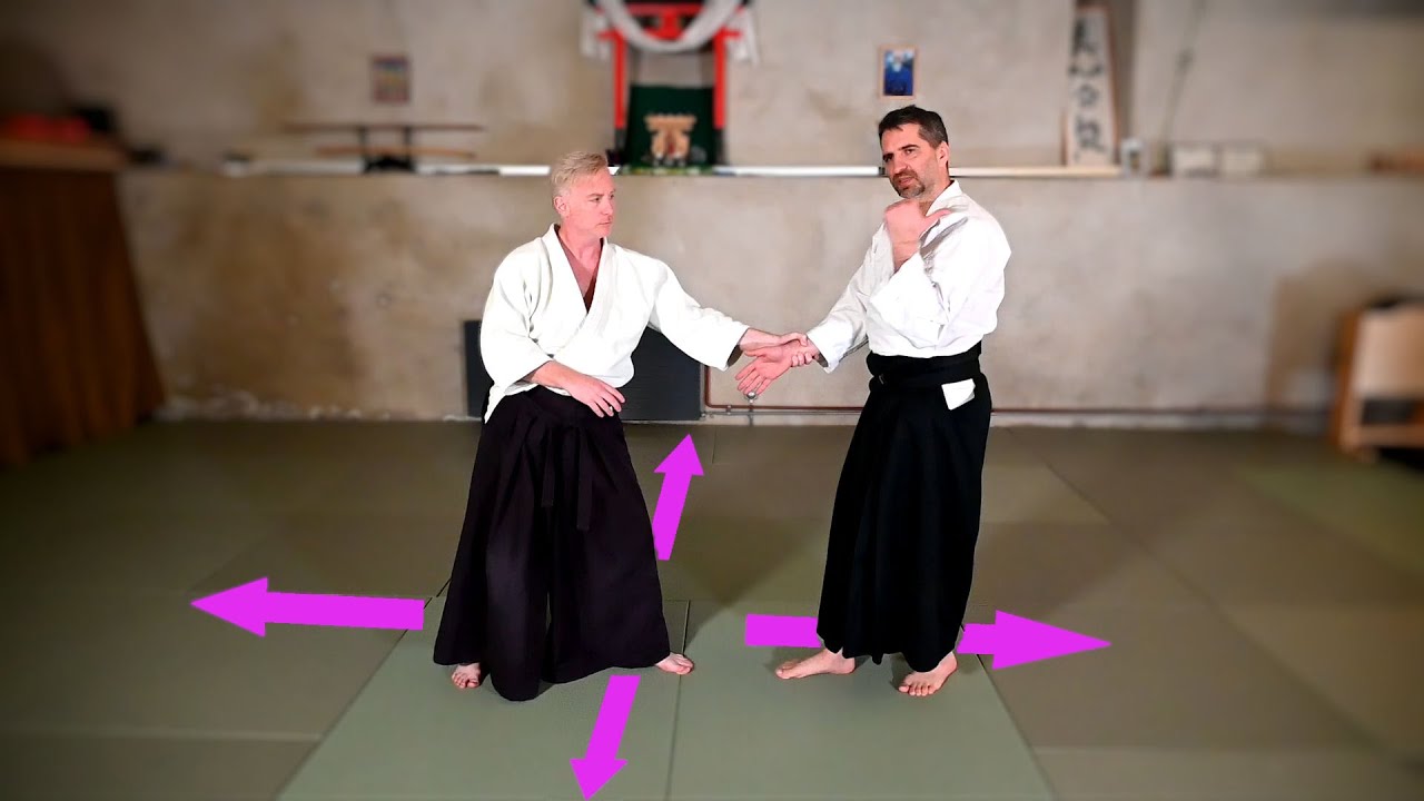The 4 directions of SHIHONAGE - Aikido Virtual Dojo