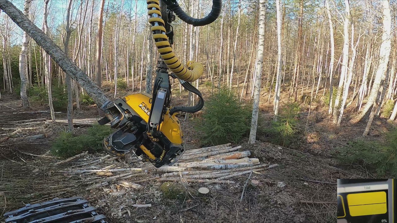 Kesäkauden hakkuut alkoi ensiharvennuksen teolla. Ponsse Scorpion King H7
