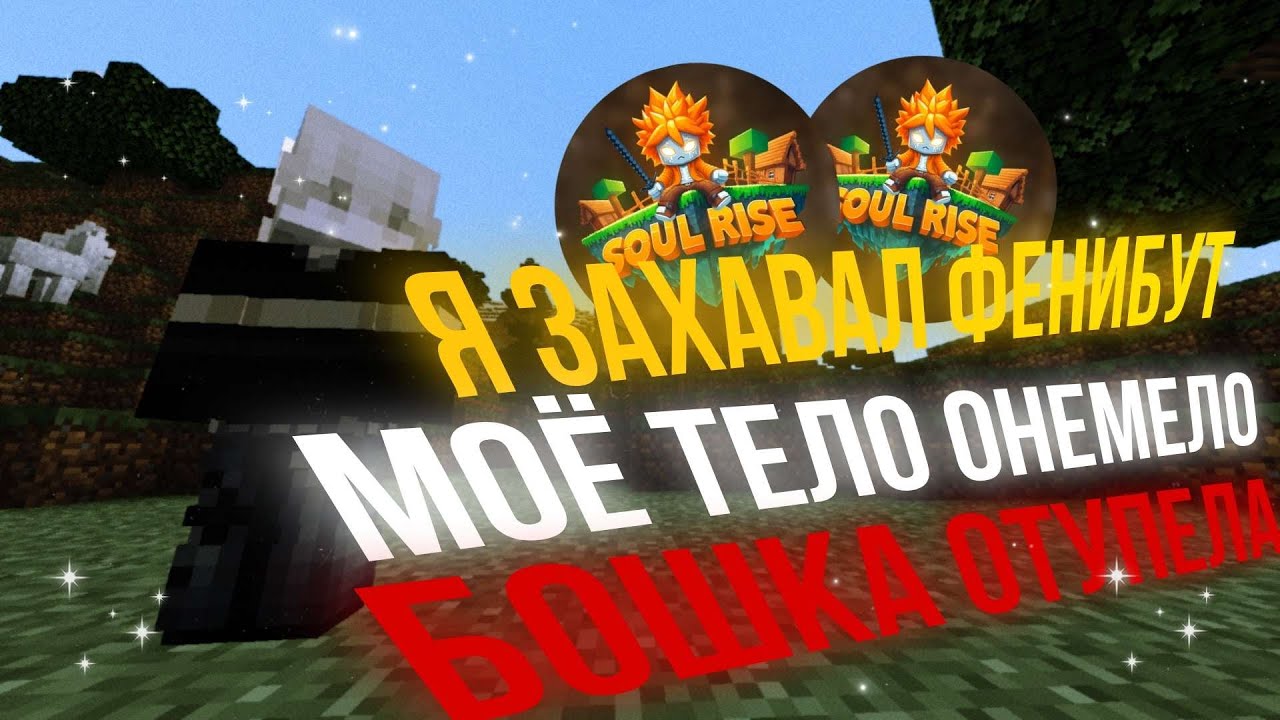 Я ЗАХАВАЛ ФЕНИБУТ И ВЫНЕС ПОЛ СЕРВЕРА / SOULRISE / FUNTIME / REALLYWORLD / АНАРХИЯ / FORCEMINE