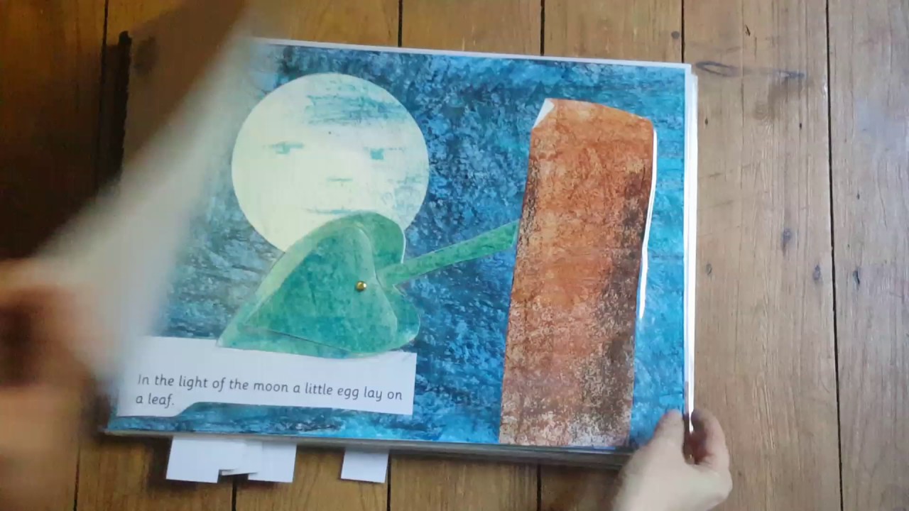 The Very Hungry Caterpillar Moving Picture Book by Rowan Class