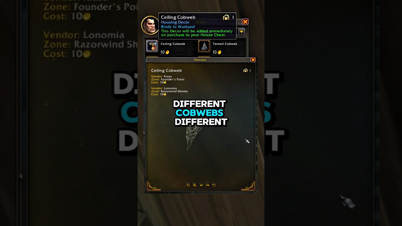 This Hidden WoW Housing Decor vendor sells Spooky Cobwebs 