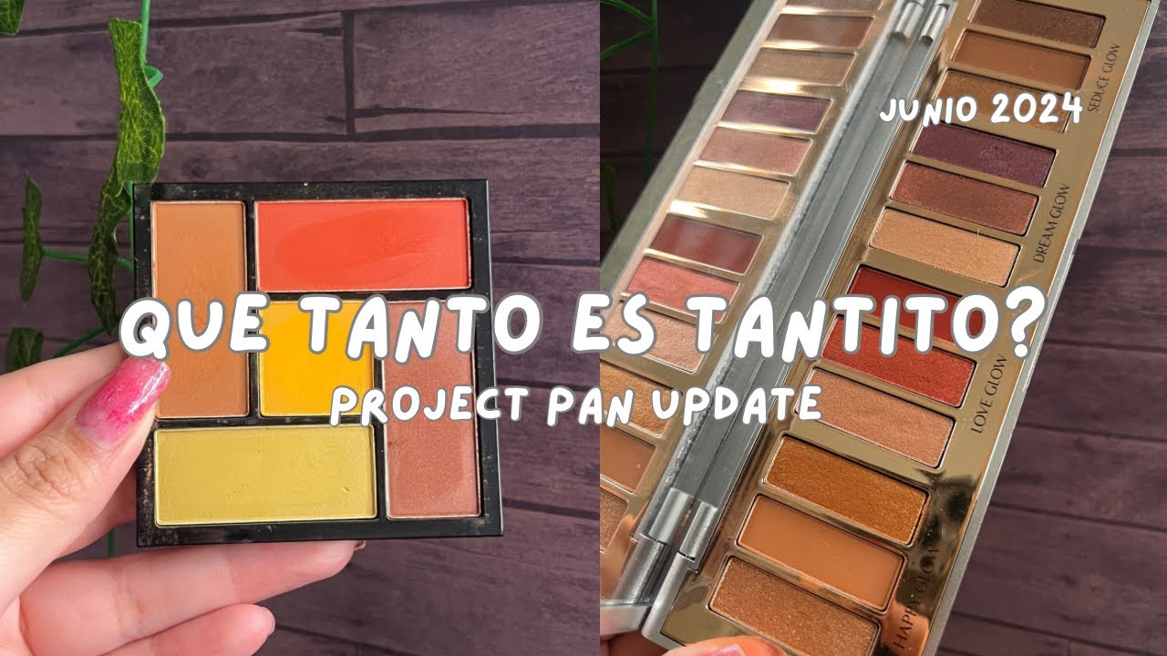 Que Tanto Es Tantito UPDATE? // Project Pan 2024