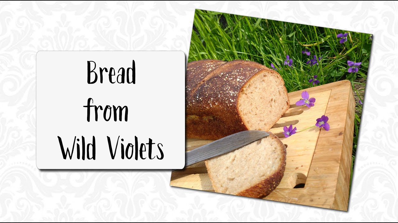 Making naturally leavened whole wheat bread using wild violet flowers