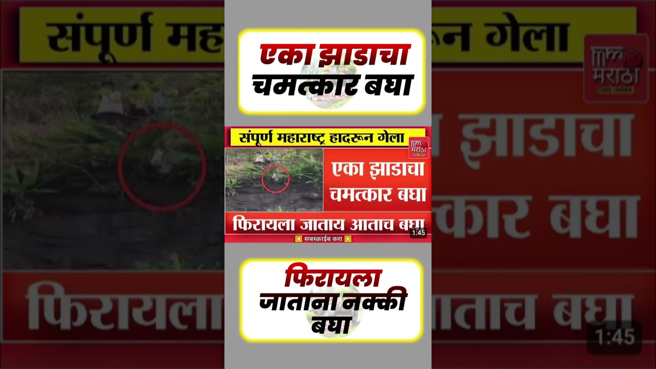 फिरायला जाताना#uddhavthackeray #maratha #Devendrafadnavis #AjitPawar #Eknathshinde #jarangepatil