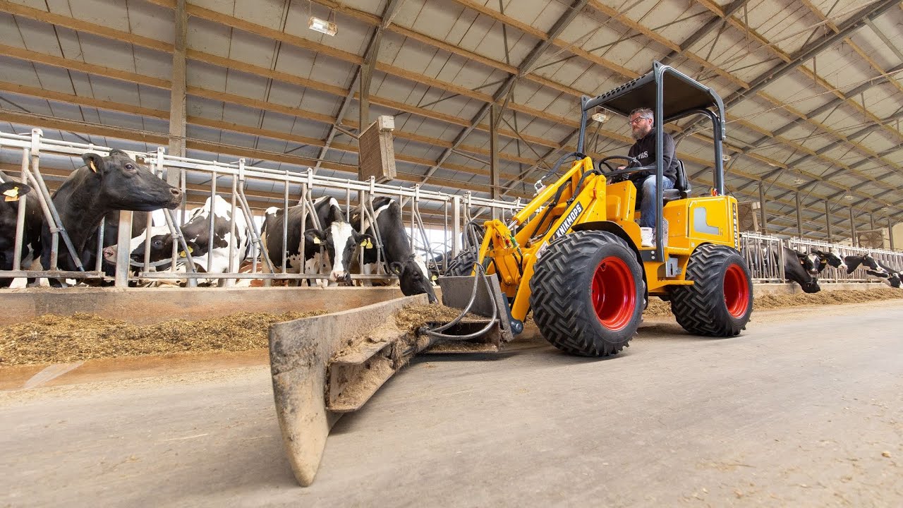 Van dichtbij bekeken: de nieuwe Knikmops 140🐄