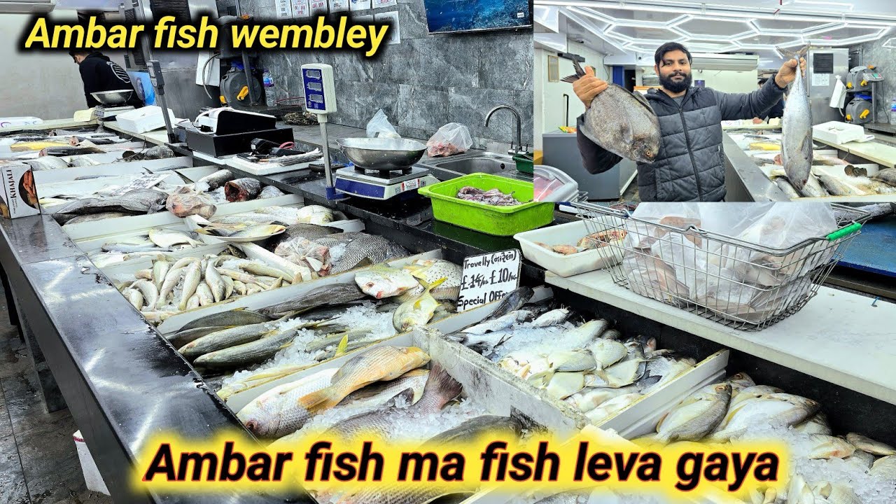 Ambar fish ma fish leva gaya | #freshfish #goafish #srilankafish #indiafish #mumbai #wembleyfresfish