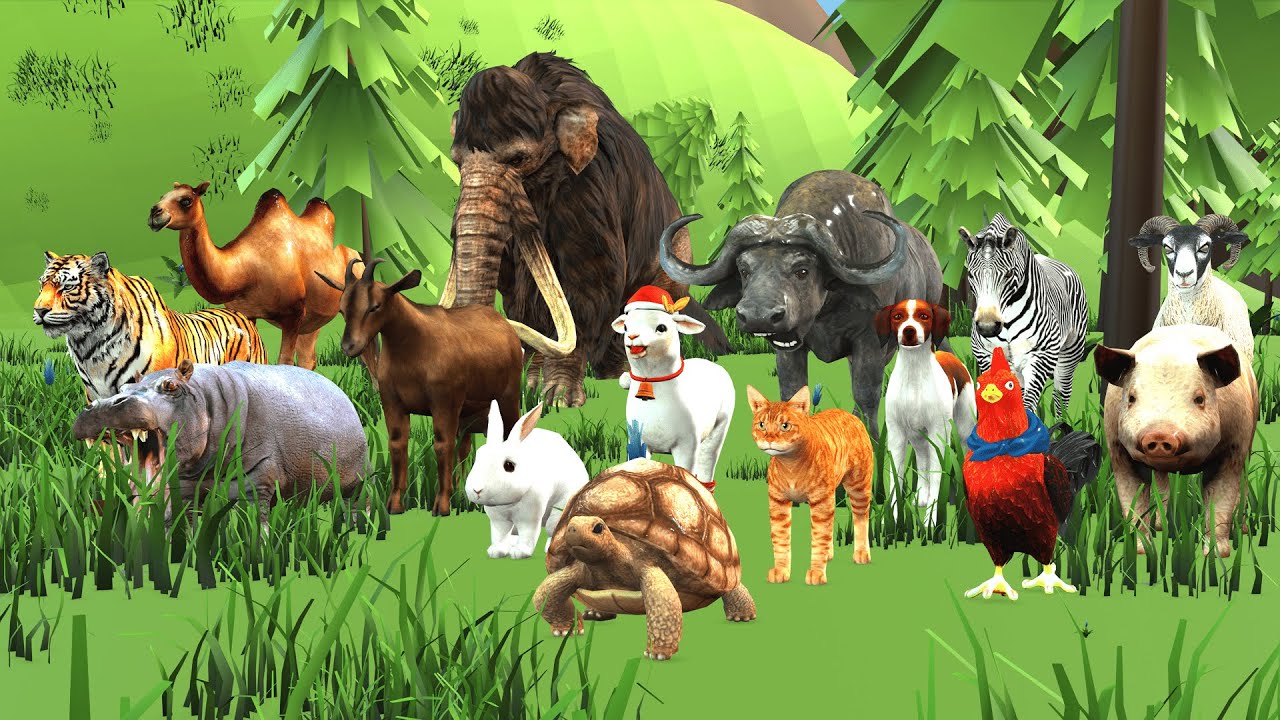 Long Slide Game with Cow Elephant Gorilla Hippopotamus Tiger 3d Animal Game Funny 3d Animals