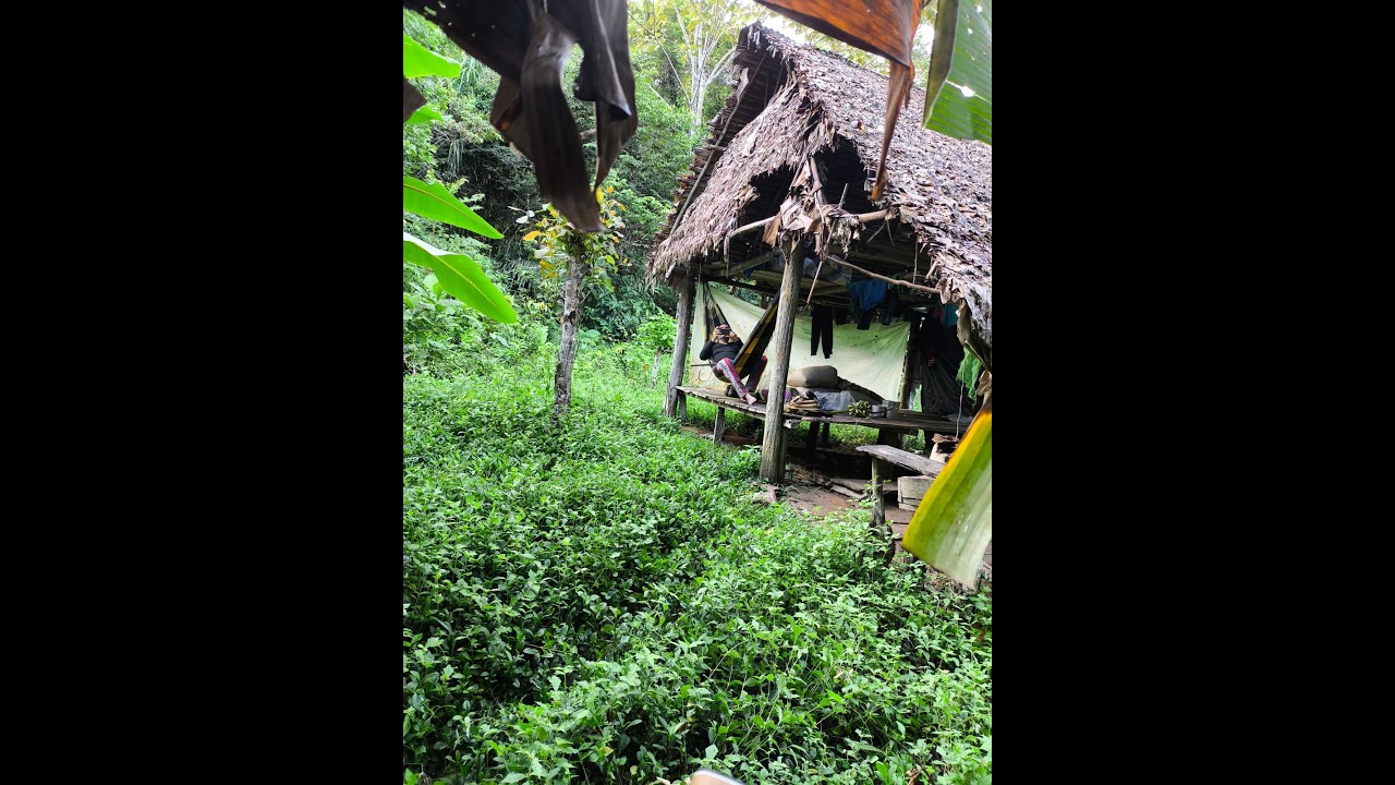 Aventura Carnaval 2026 na Selva