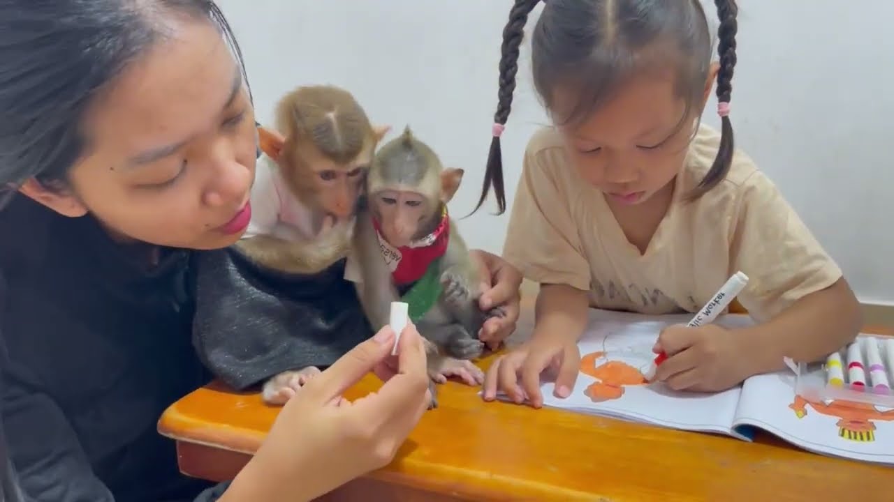 Monkey Koy & Jasmine look so grat with cooler 