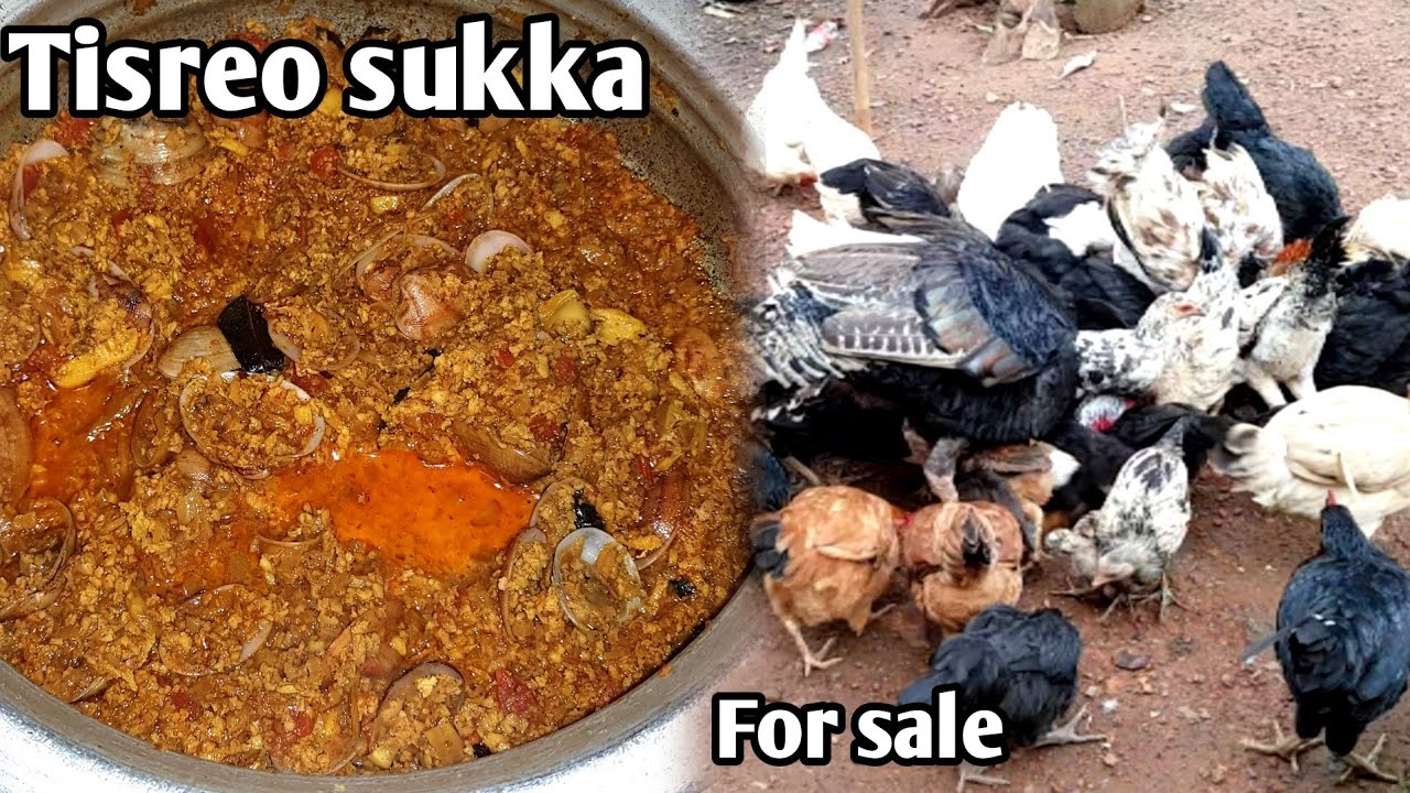 Tisreo sukka cooked by Refina | Love to feed my hens ❤ #konkanivlog