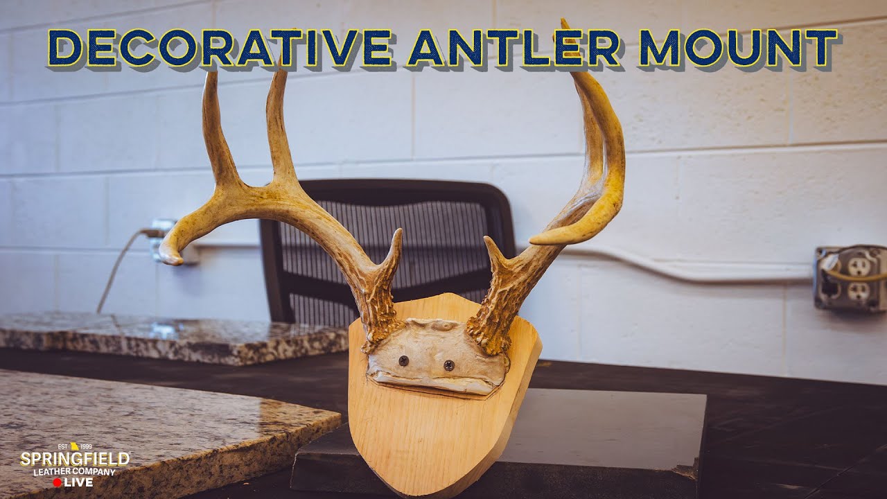 Decorating a Whitetail Antler Mount with Leather