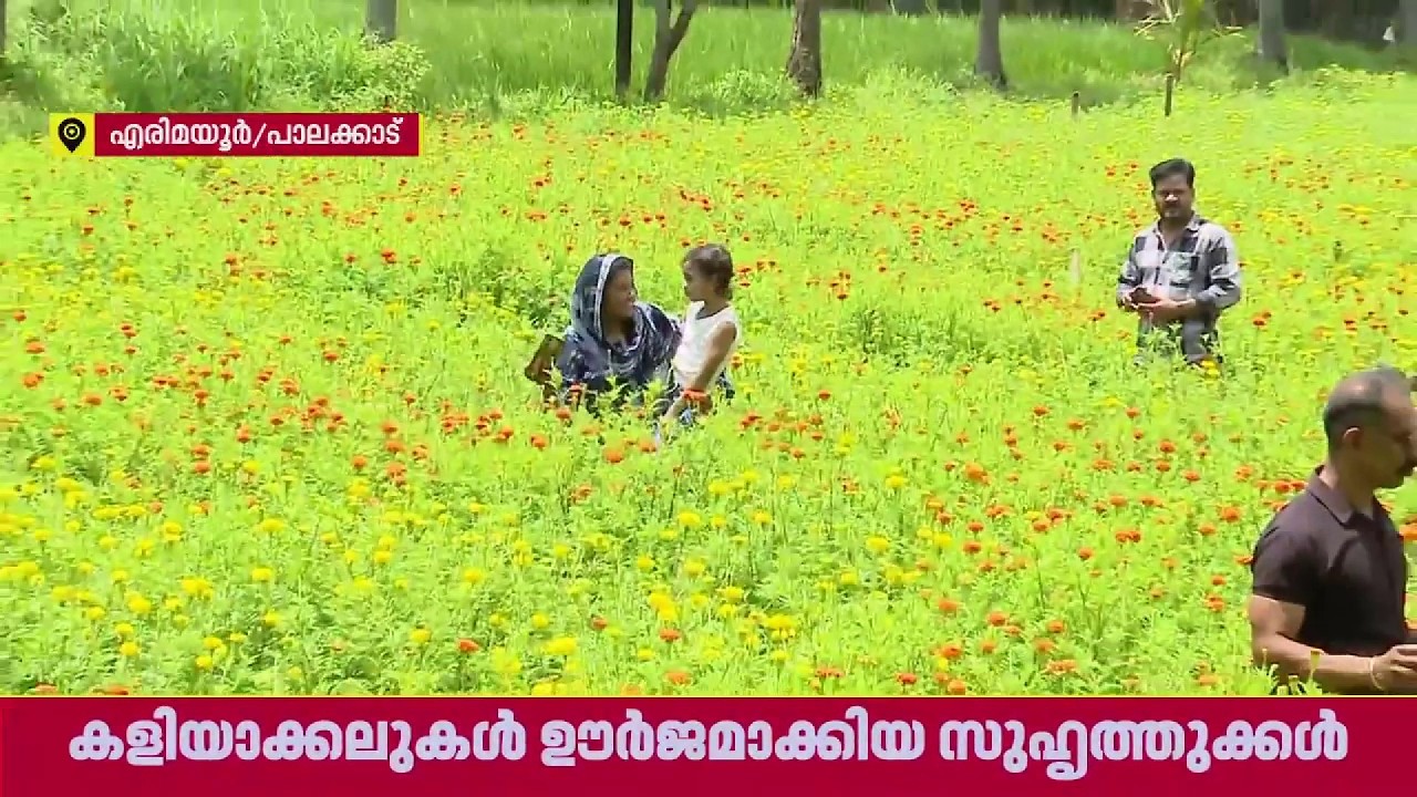 കൈക്കോട്ട് തൊടാത്ത കൈകളിൽ 100 മേനി; പാലക്കാട്  എരിമയൂരിൽ ചെണ്ടുമല്ലി കൃഷിയിറക്കി 3 യുവാക്കൾ