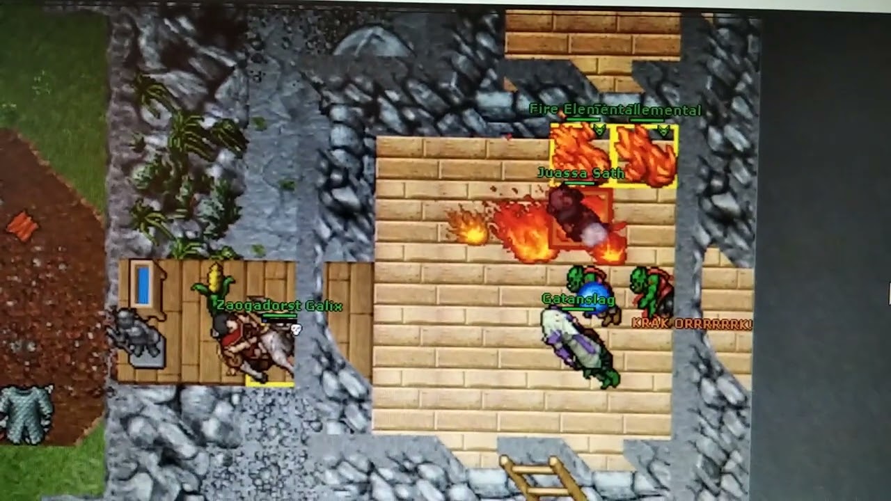Tibia Bots boters Cipsoft 2025 Vunira