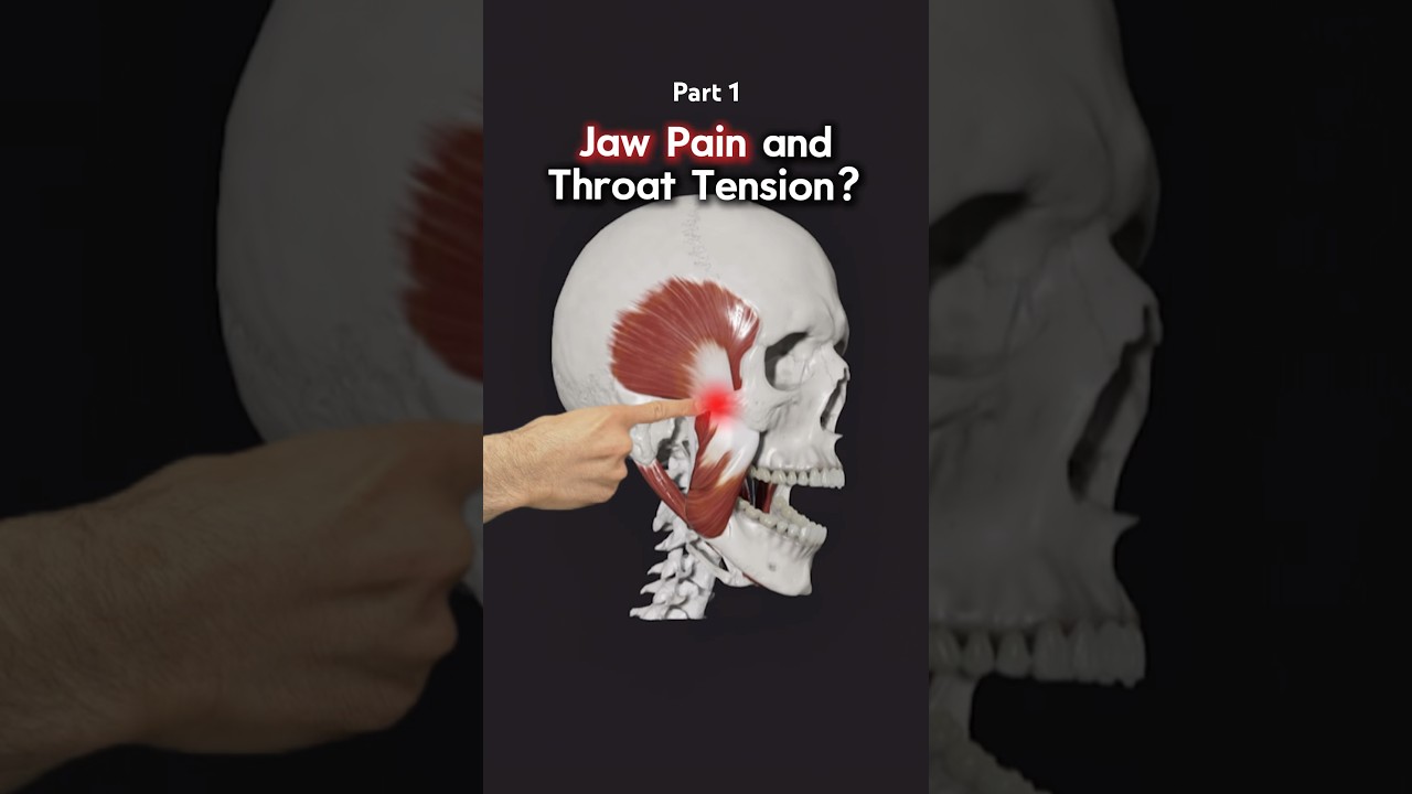 Part 1 of 2 &mdash; Got Jaw Pain & Throat Tension? Try these exercises! #jawpain #tmj #tmjdisorder #jaw