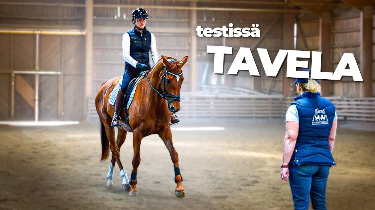 Testaan Ratsastuskouluja | Tavela