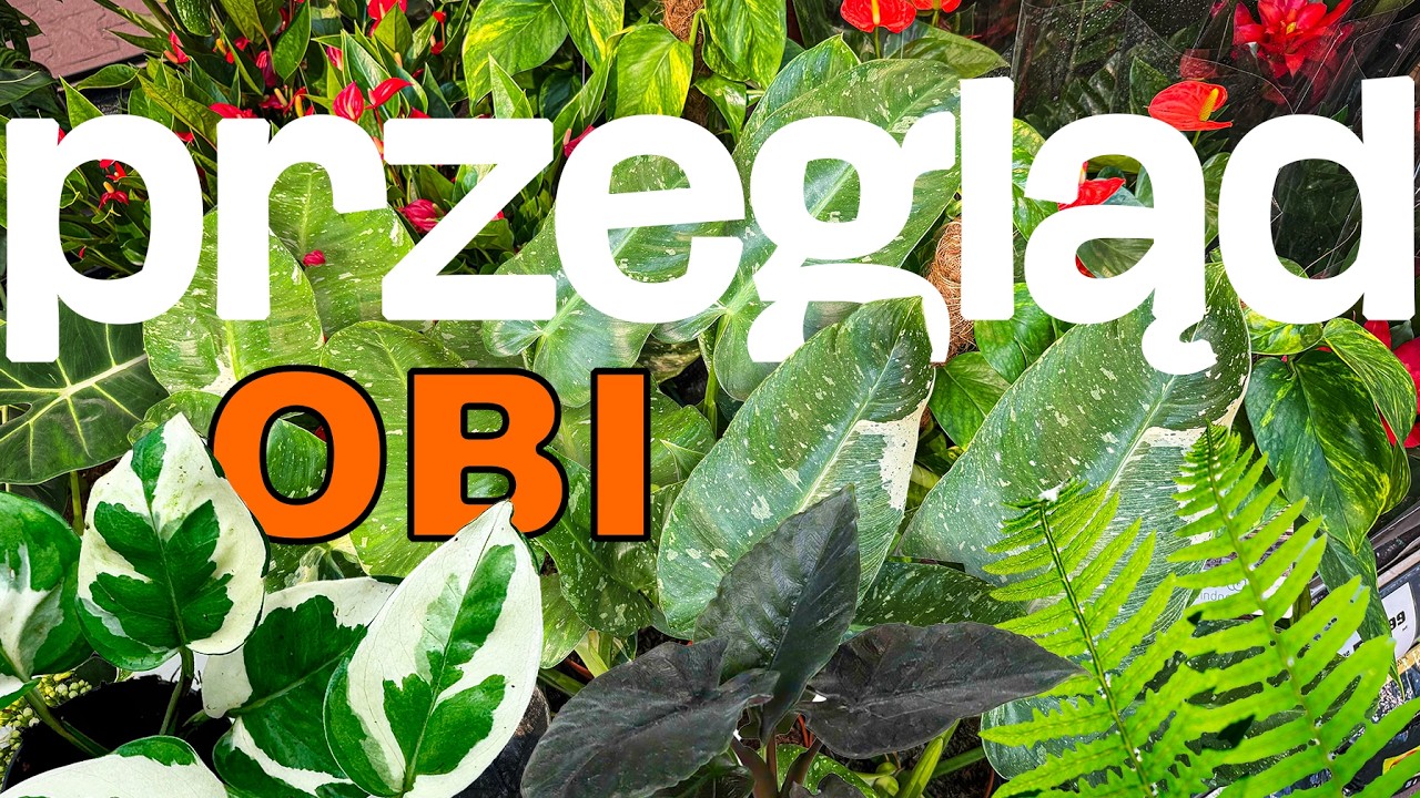 Przegląd OBI | wiosna za rogiem 🌱