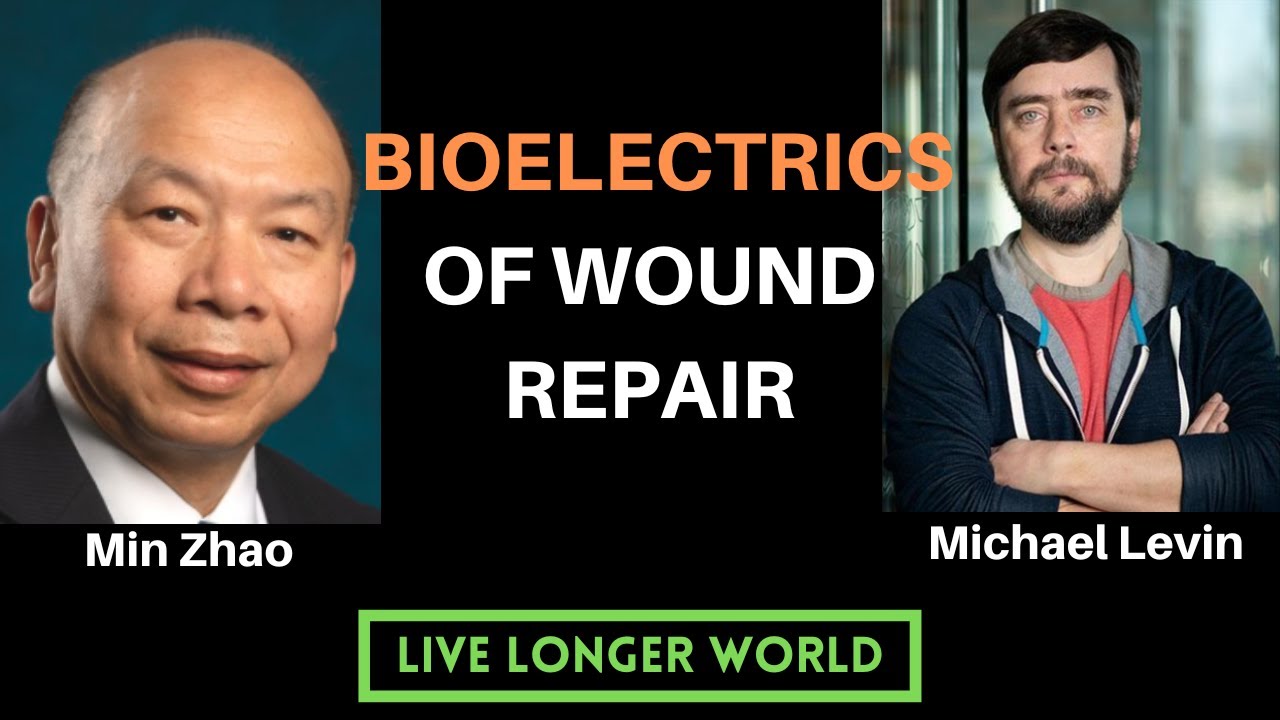 Michael Levin & Min Zhao | Bioelectricity in Wound Repair