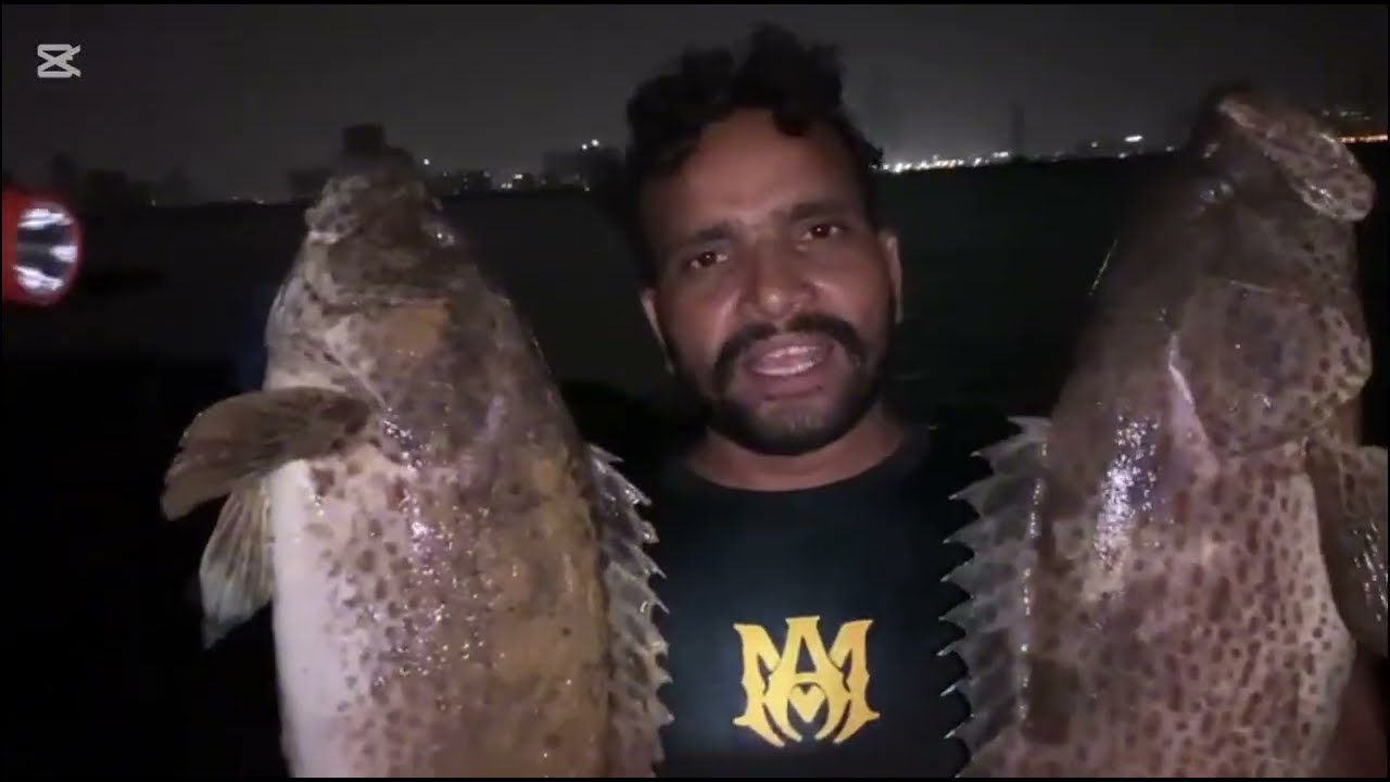 Geyser fish ki bumper 