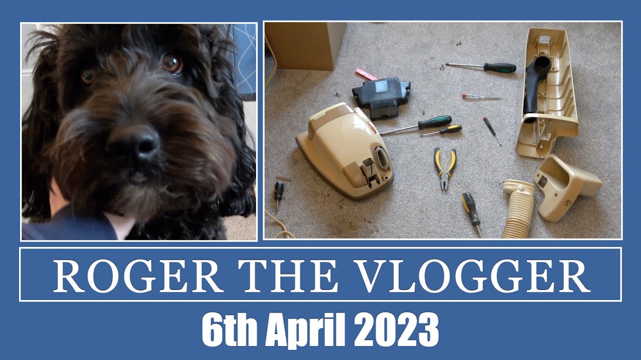 Roger The Vlogger- Part Two Dog sitting & Servicing Vacuums