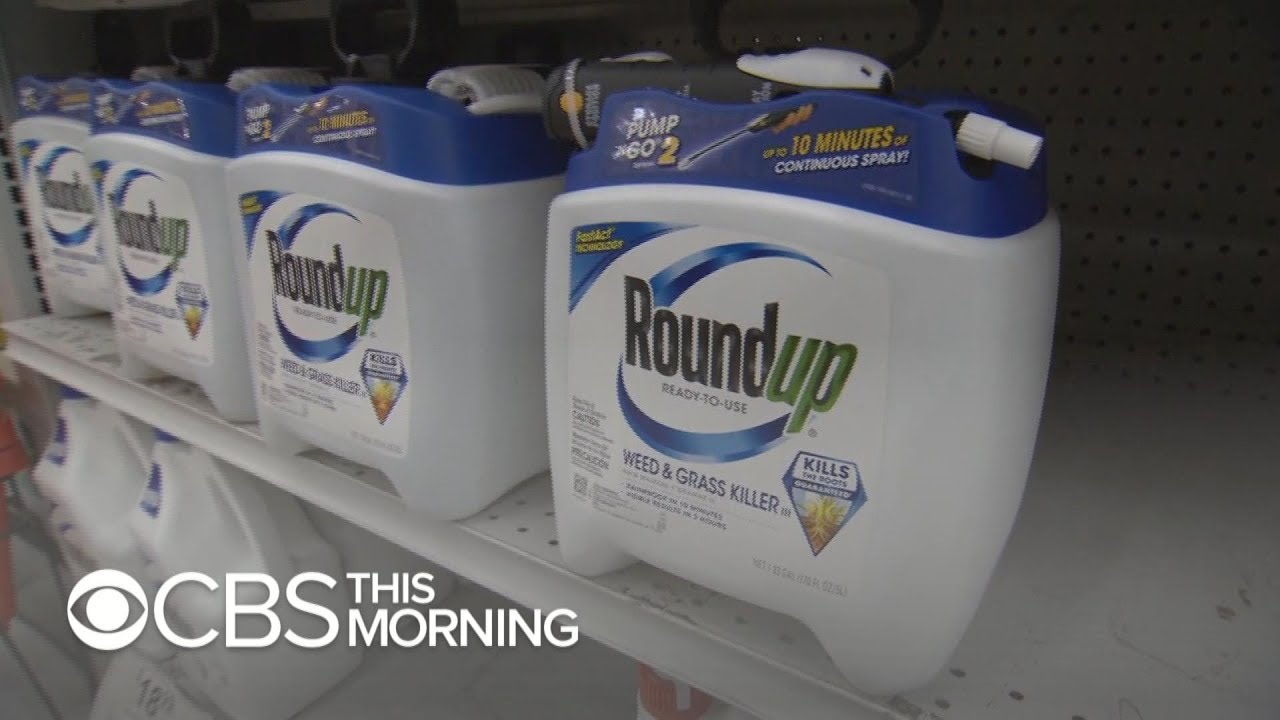 Jury finds Monsanto's Roundup weed killer contributed to man's cancer