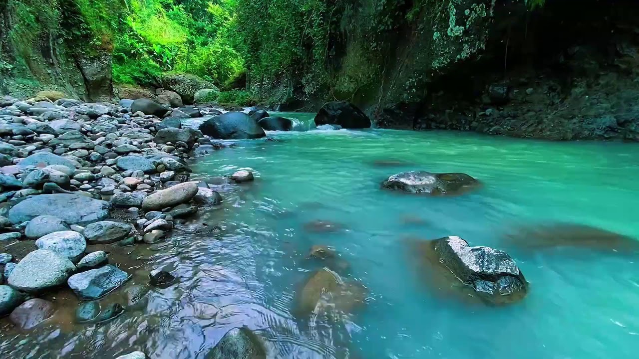 Mountain Stream Gentle Water Sounds, Forest River, Sleeping