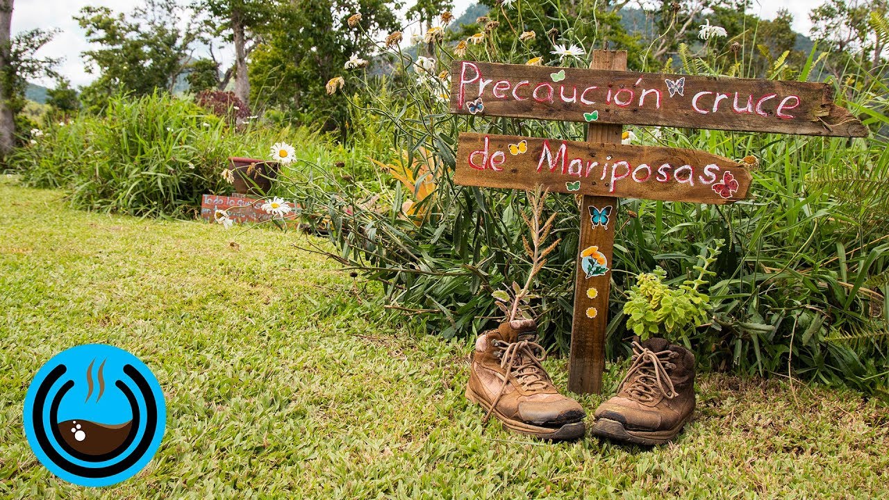 El Caf&eacute; los une | Finca Agroecol&oacute;gica El Remanso, un Jard&iacute;n Comestible