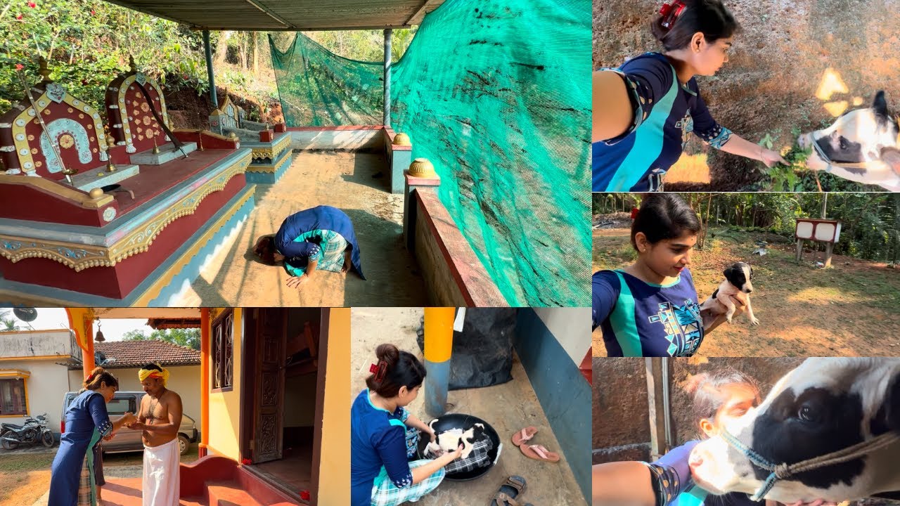 Nennapnde Jatannangerakodi Daiva g kaimugyra poye❤️🥰🙏🏻||AnushkaSalian||#tulutalks #tuluvlogger #anu