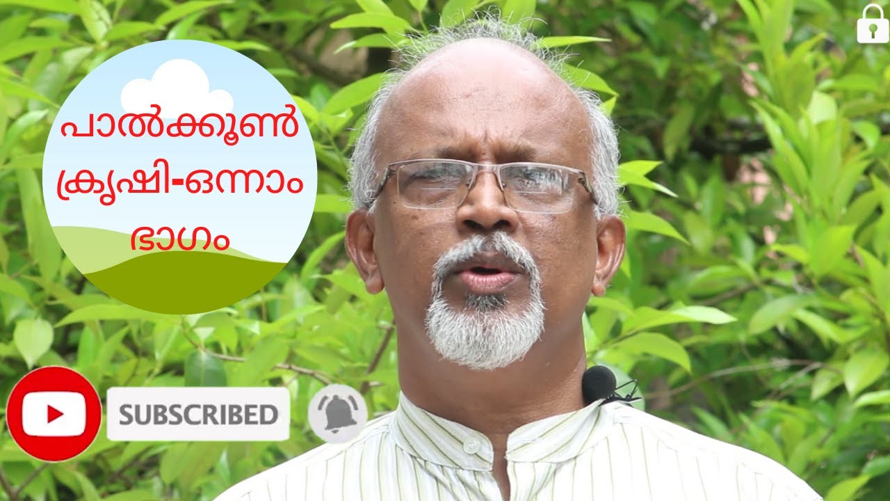 പാൽക്കൂൺ ക്രൃഷി-ഭാഗം 1 (Milky mushroom cultivation-part 1)