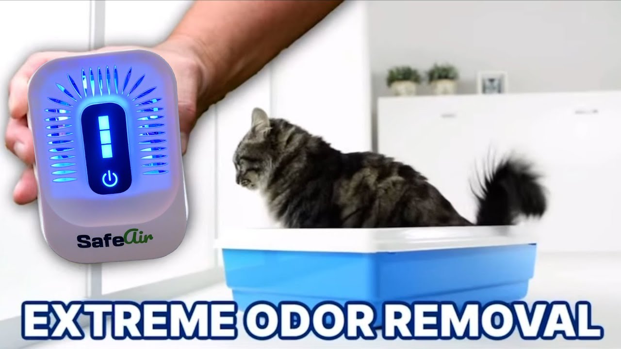This Advanced Air Purifier Destroys Odors Completely!