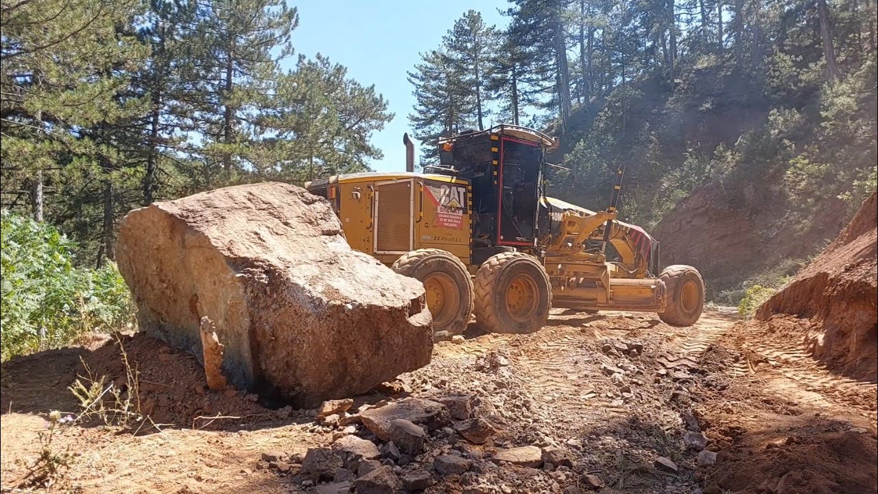 SİZCE BURDA AYI VARMIDIR?Do you think there are bears here#cat #bulldozerofficial