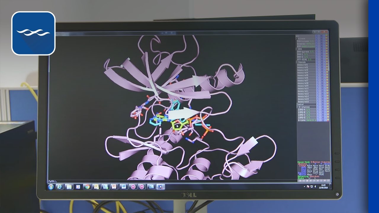 Medicinal Chemists: The Architects of Drug Discovery