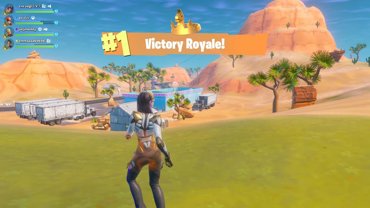 FORTNITE OG 29 KILLS