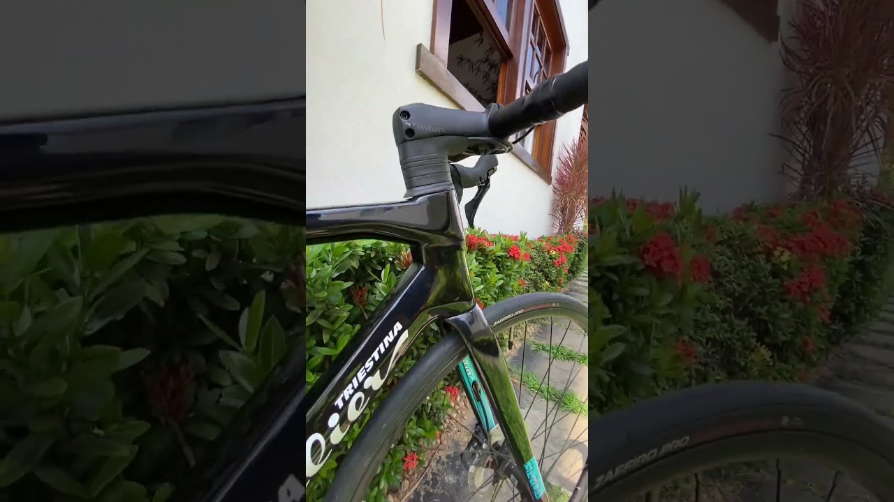 Bicicleta Speed Wilier Garda