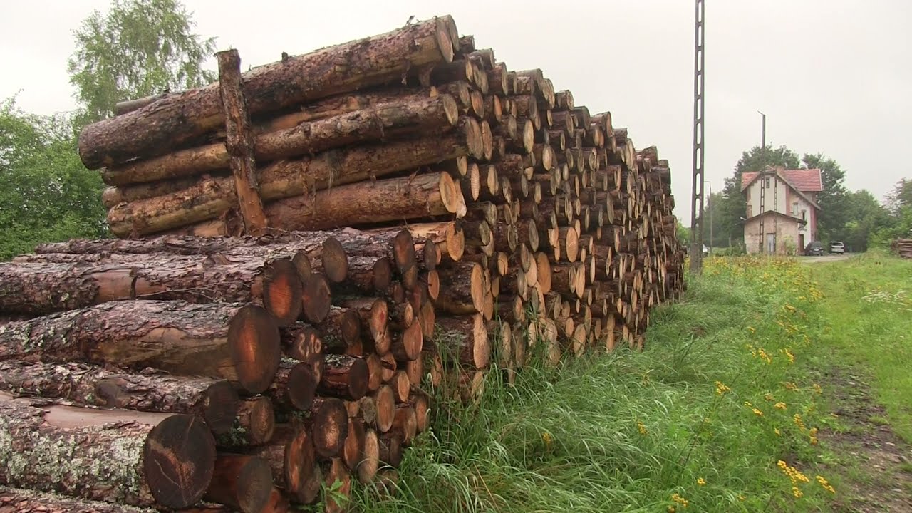 Pociągi już tu nie przyjadą. Stacja Rozłazino.